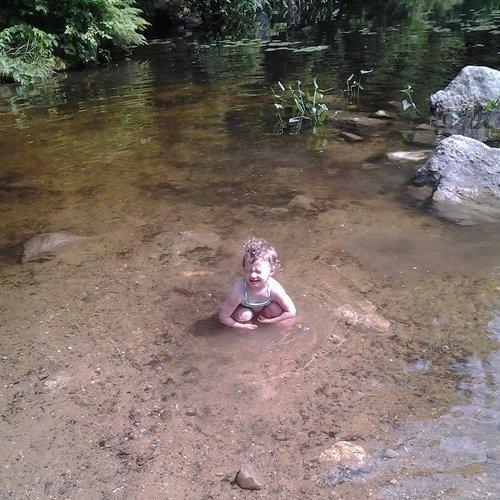 Photo #3597536