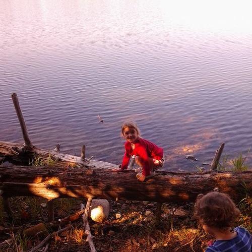Photo #3597537