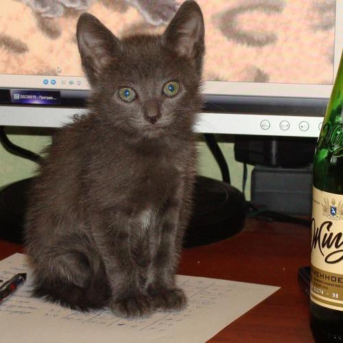 Photo #3597545