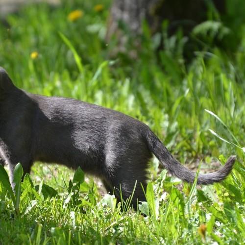 Photo #3597549