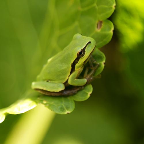 Photo #3597578
