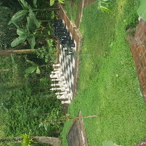 Photo #3598164