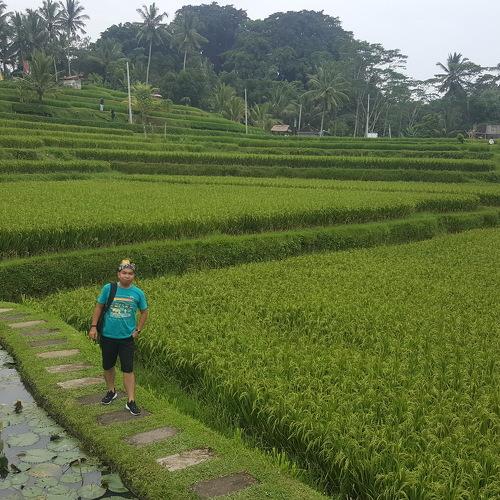 Photo #3598171