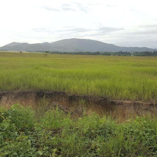 Photo #3598180