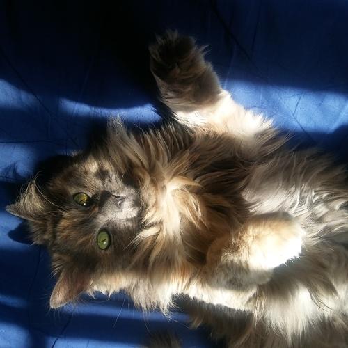 Photo #3598403