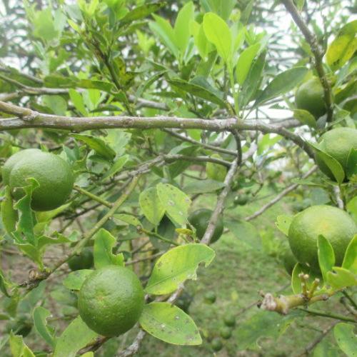 Photo #3598507