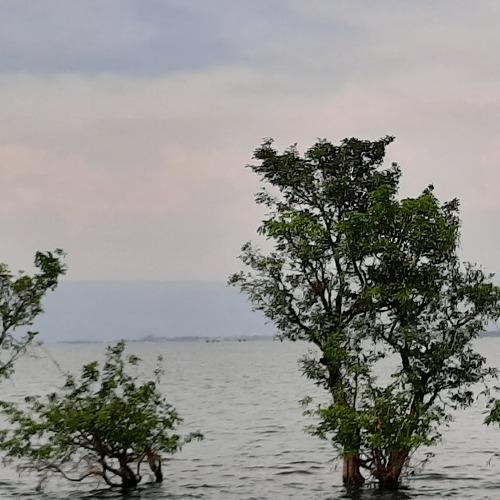 Photo #3598607