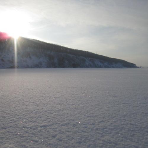 Photo #3598634