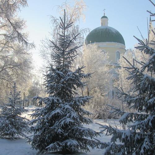 Photo #3598638