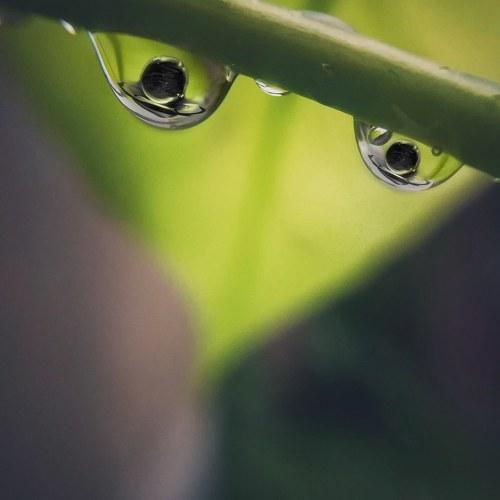 Photo #3598746