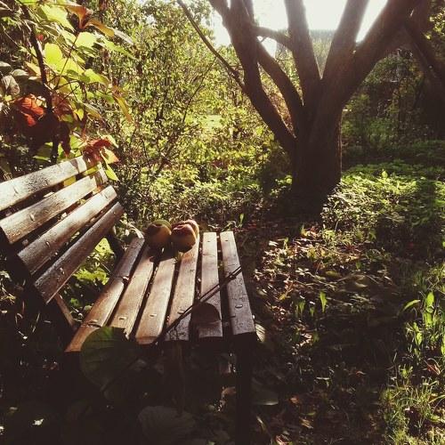 Photo #3598752