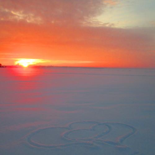 Photo #3598809