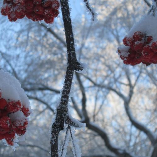 Photo #3598815