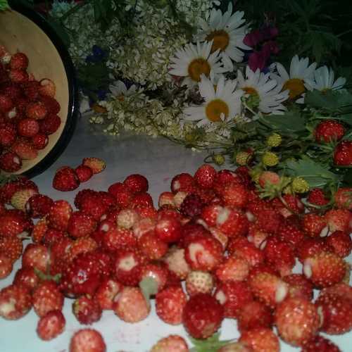 Photo #3598819