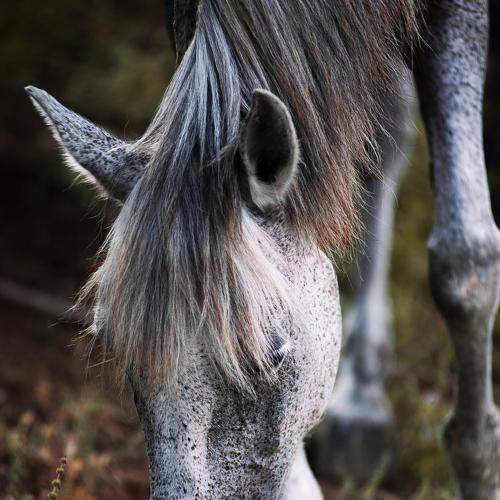 Photo #3598897