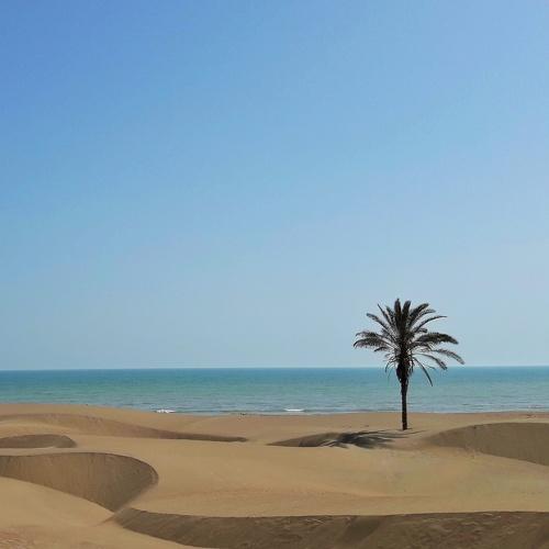 The sea and the desert