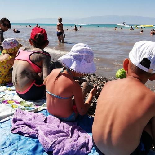 Photo #3599117