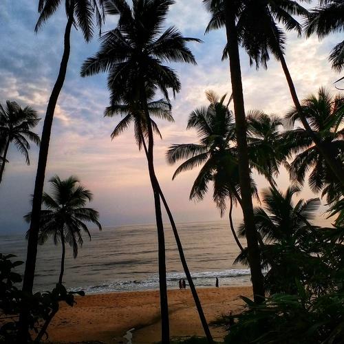 Photo #3599132