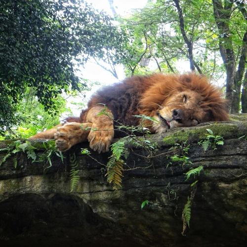 Photo #3599133