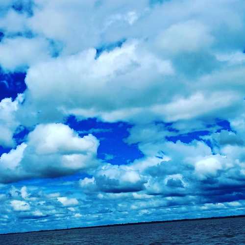 Photo #3599339