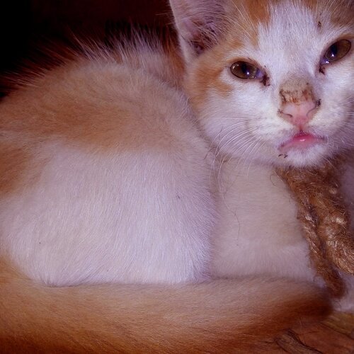 Photo #3599585