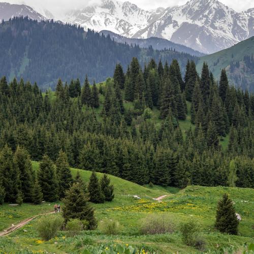 Photo #3599730