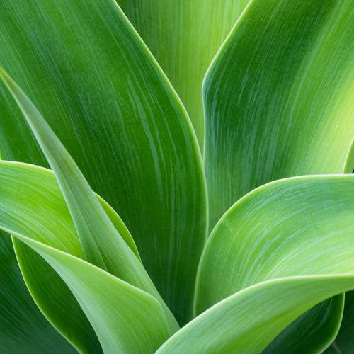 Photo #3599804