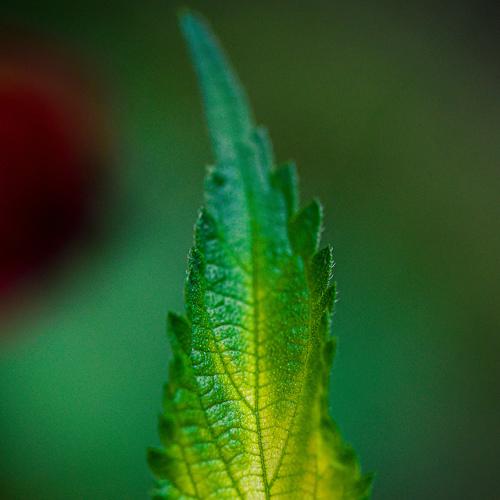 Photo #3599806