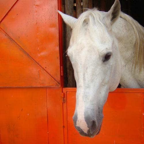 Photo #3599840