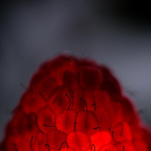 Photo #3599842