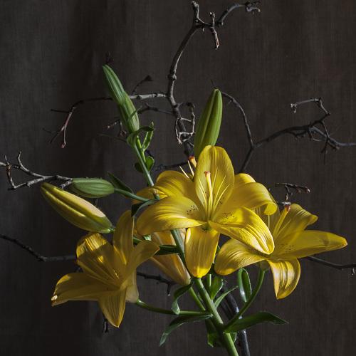 Photo #3600147