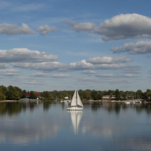 Photo #3600153