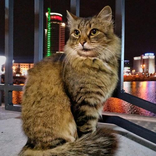 Photo #3600191