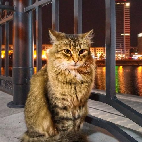 Photo #3600199