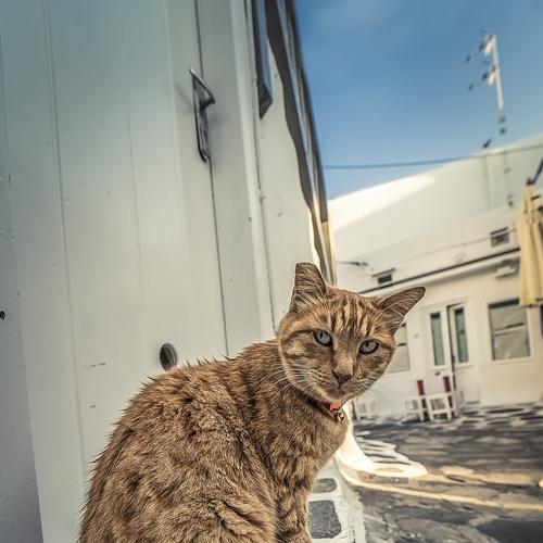Photo #3600231
