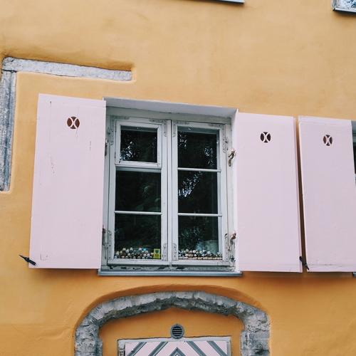 Photo #3600723