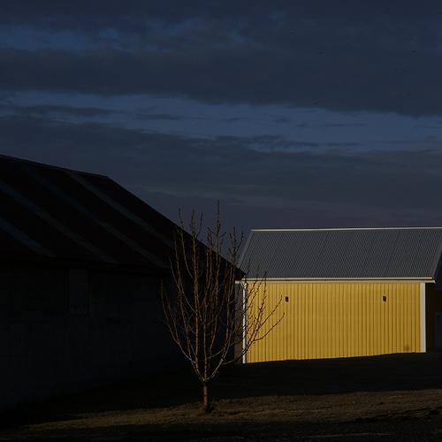 Photo #3600734