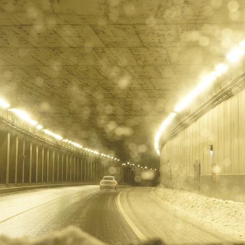 Photo #3600739