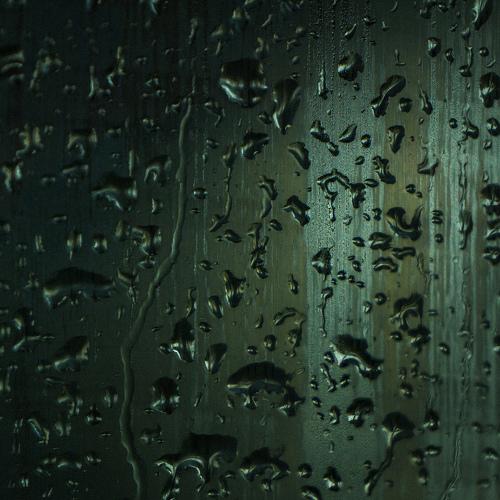 Photo #3600786