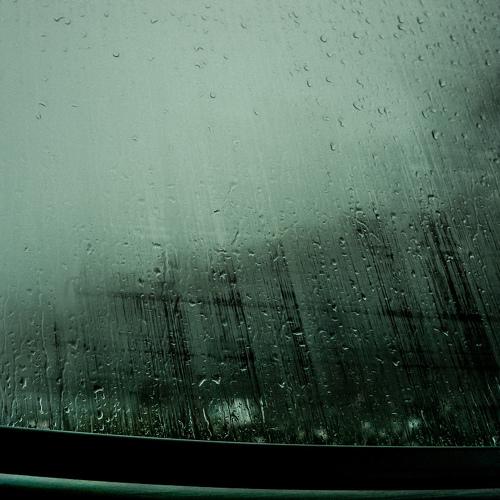 Photo #3600793