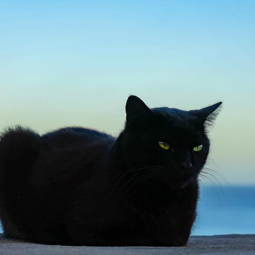 Photo #3600966