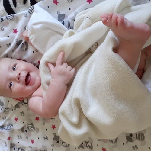 Photo #3601087