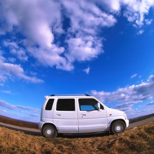 Photo #3601319