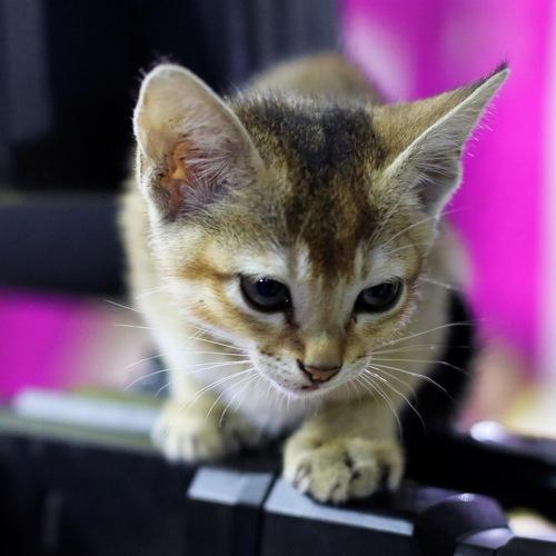 Photo #3602453