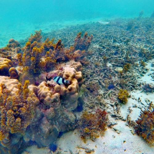 Photo #3602750
