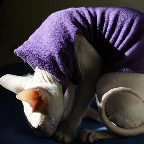 Photo #3602885