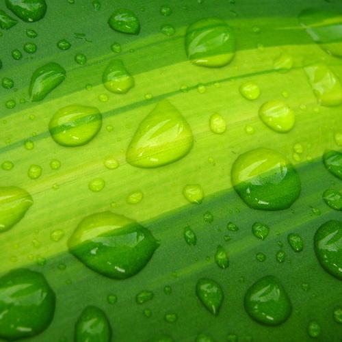 Photo #3603007