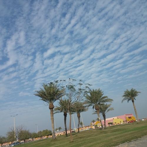 Photo #3603848