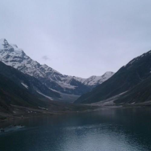 Photo #3603852