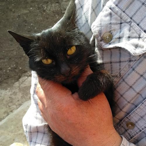 Photo #3604554